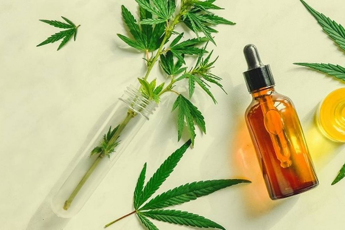 Anvisa aprova versões mais baratas de novos produtos à base de cannabis