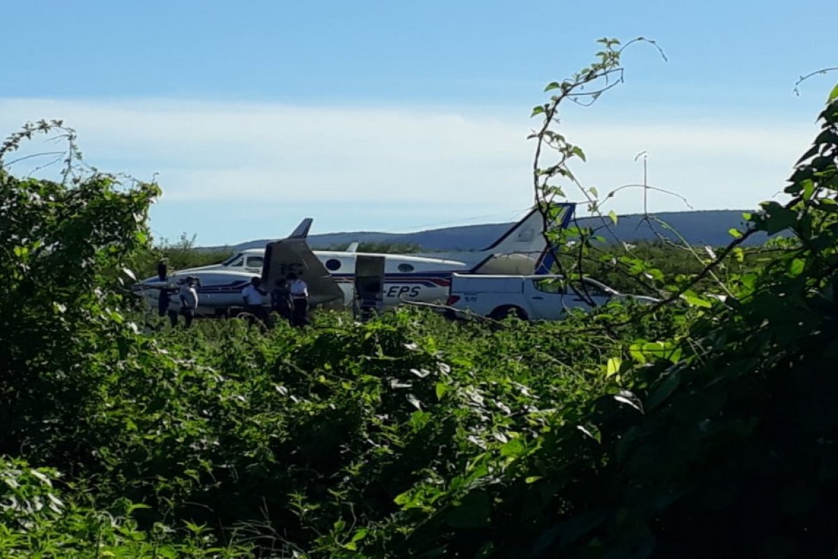 Bahia: avião com doses de vacina da Covid-19 se choca contra jumento
