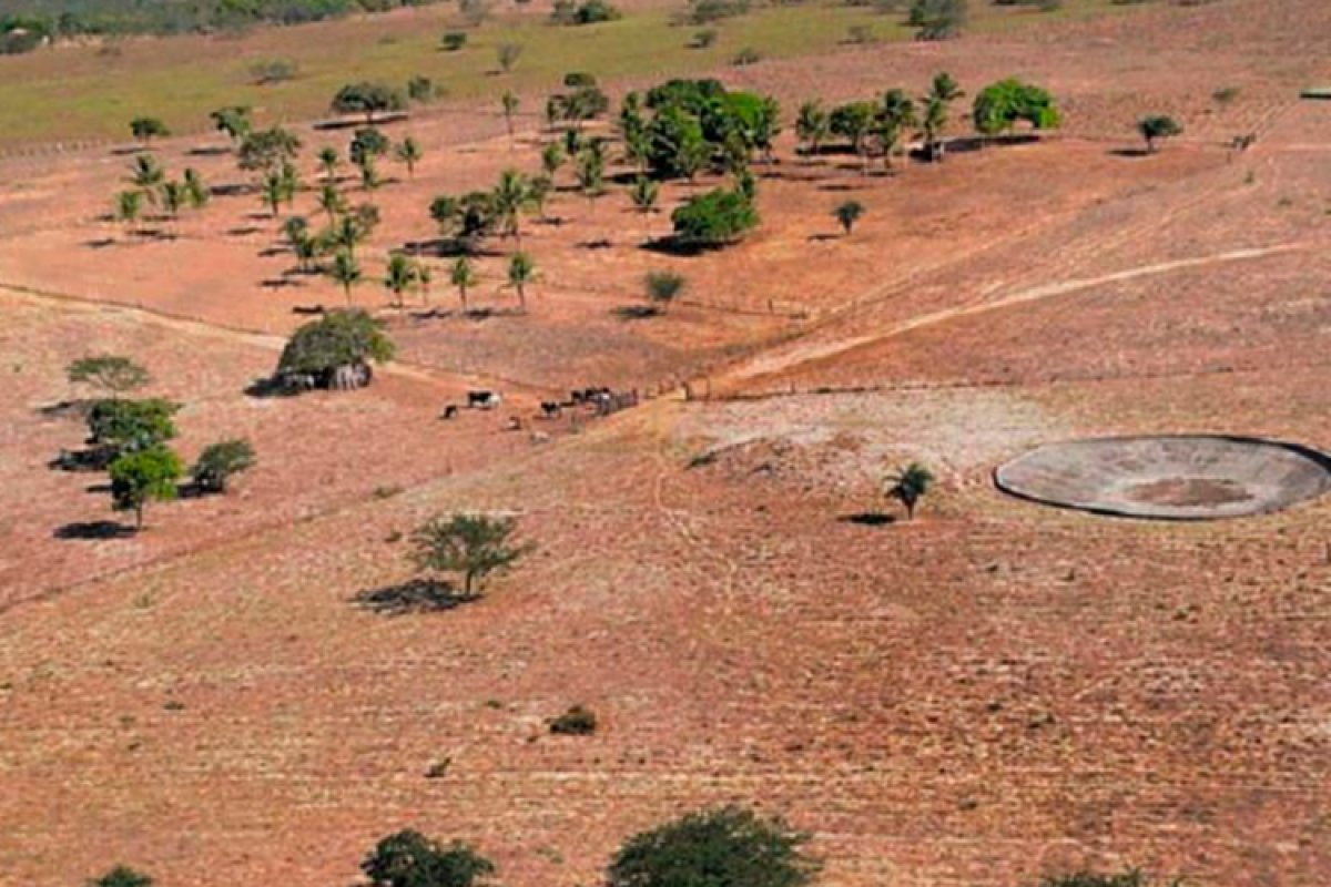 Municípios baianos decretam situação de emergência devido à estiagem