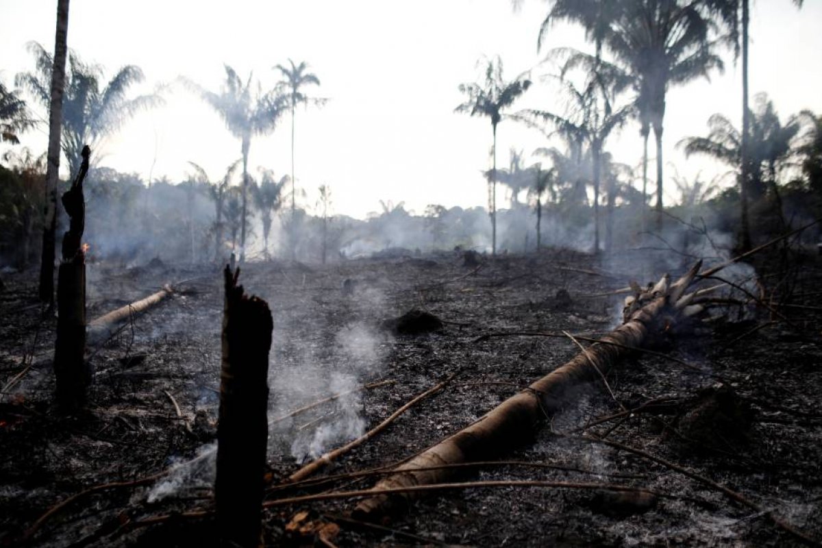 Líderes mundiais e famosos mostram preocupação pelos incêndios na Amazônia 