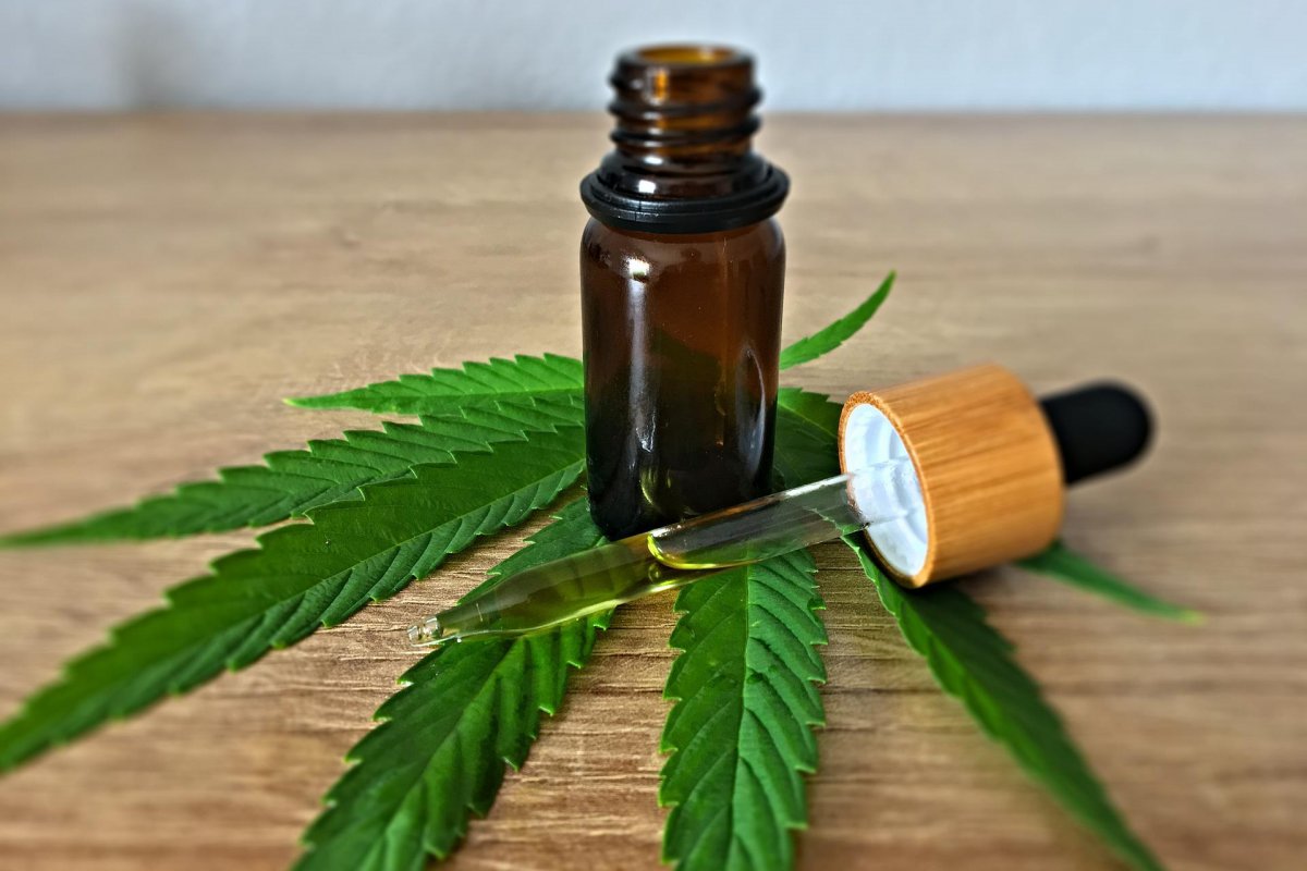 Justiça suspende decisão que impedia plantio de maconha para uso medicinal