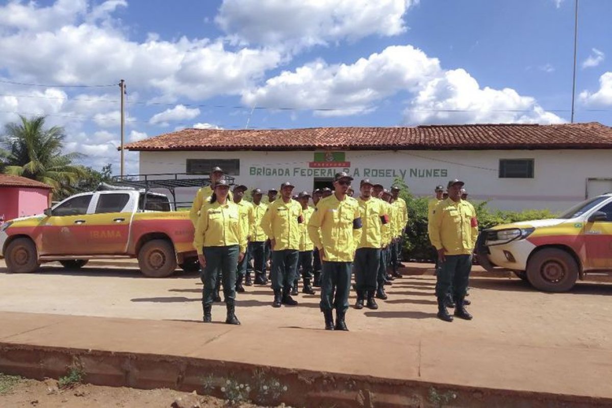 Brigadas para prevenir e combater incêndios serão contratadas pelo Ibama