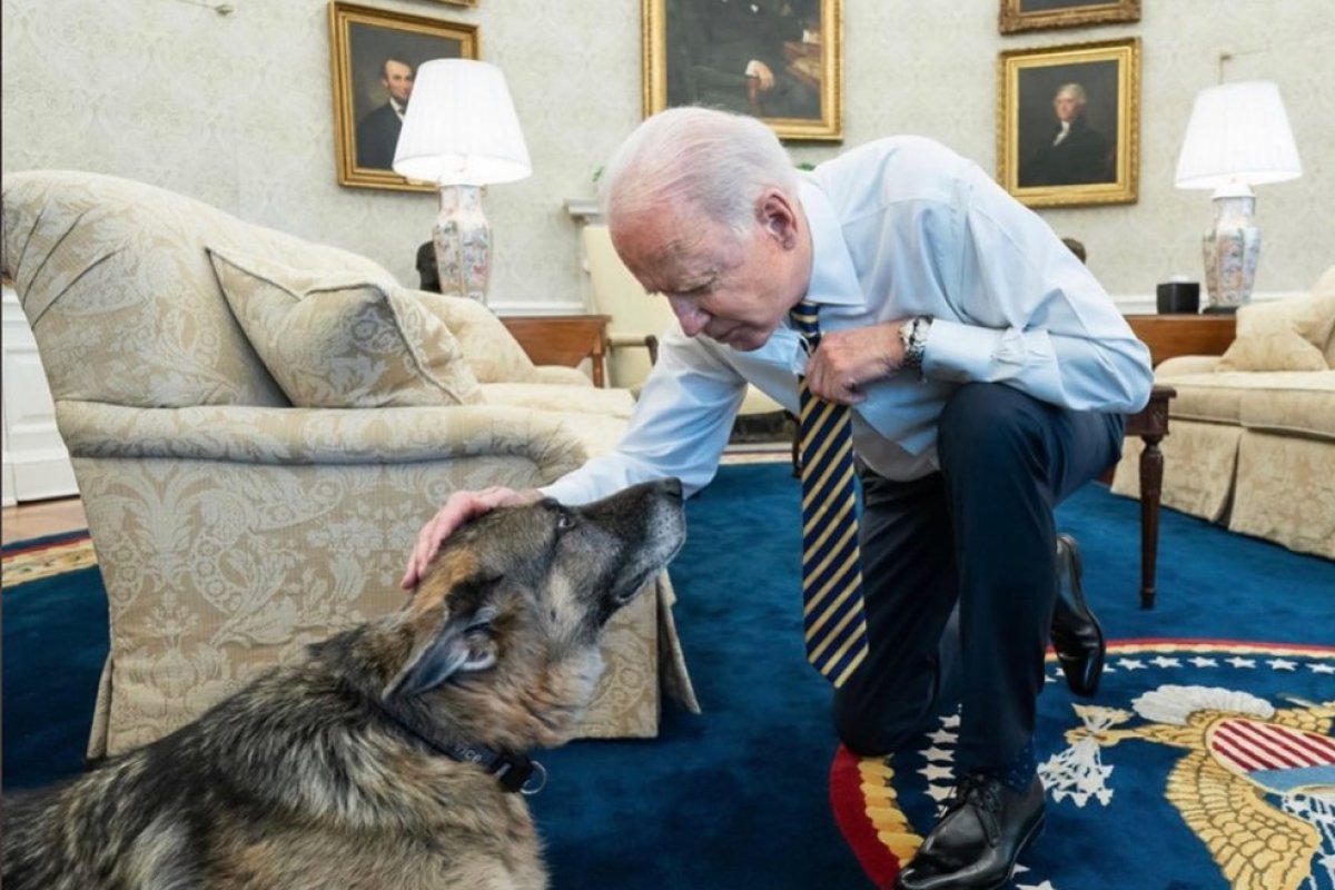 Cachorros de Biden mordem segurança e são devolvidos para casa da família, em Delaware