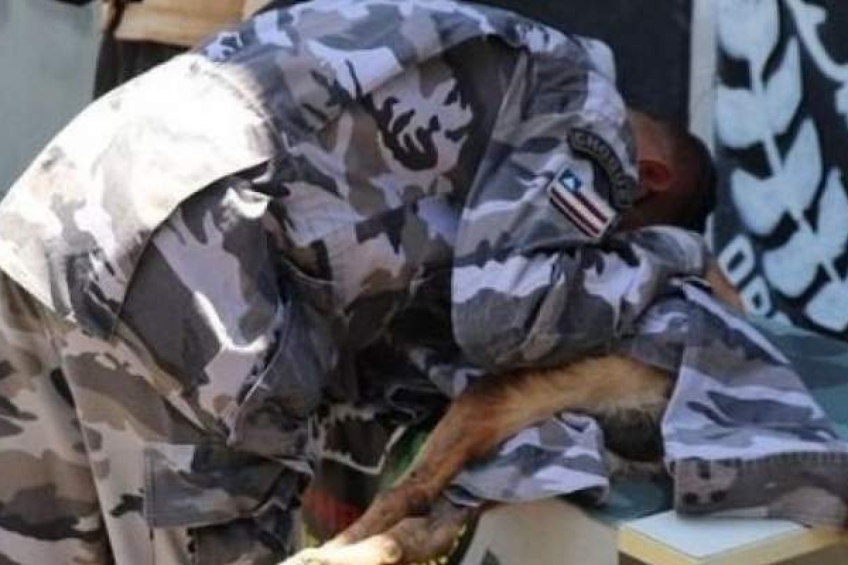 Cão policial da Polícia Militar da Bahia, morre vítima de câncer