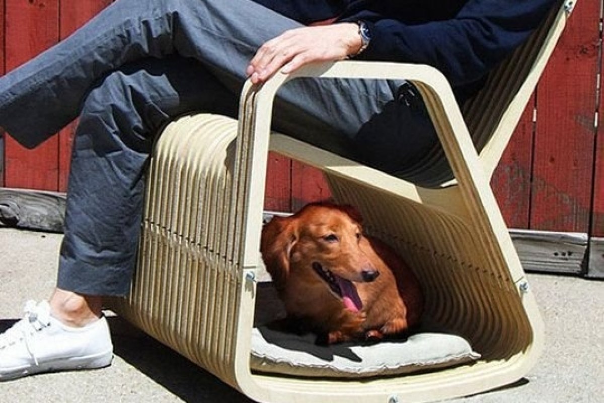 Saiba como incluir a casinha do cachorro na decoração