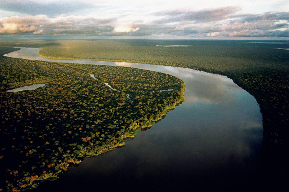 Países sul-americanos ajudam a combater os incêndios na Floresta Amazônica 