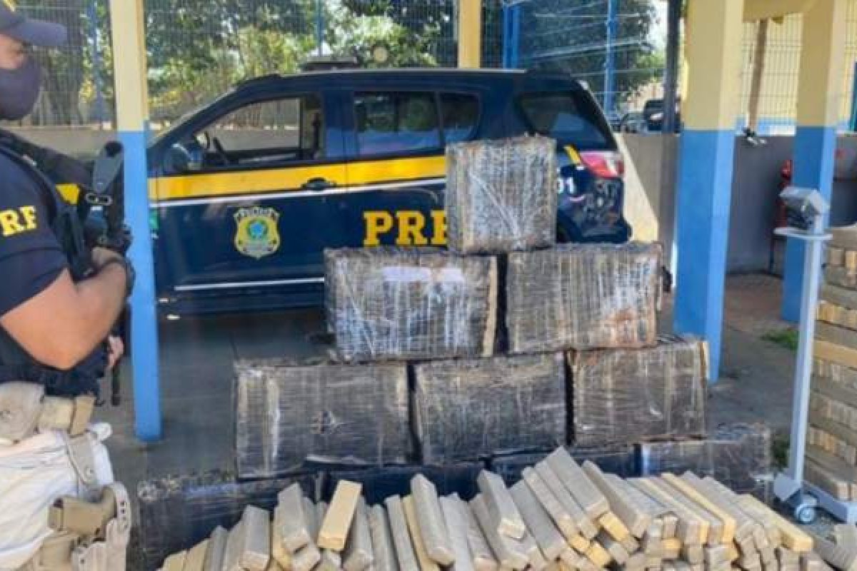 Polícia apreende mais de uma tonelada de maconha na BR 116