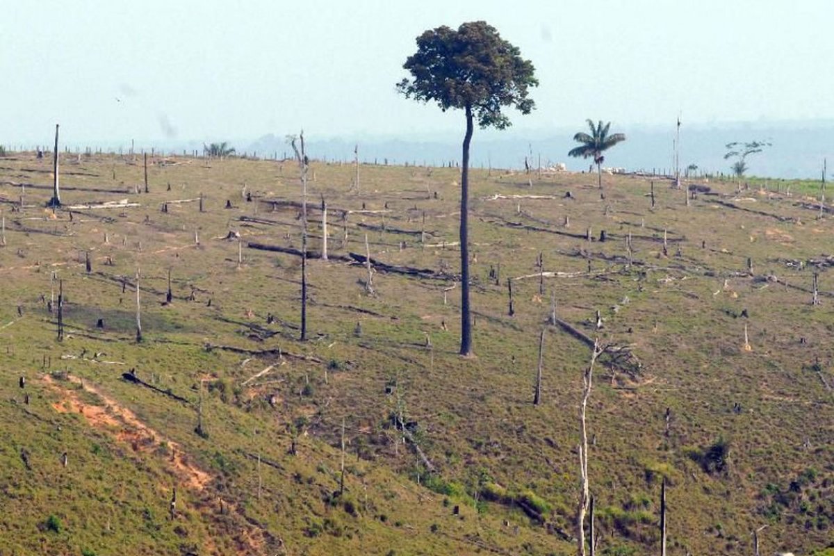 UE planeja medidas para dificultar acordos com o Brasil por causa dos incêndios