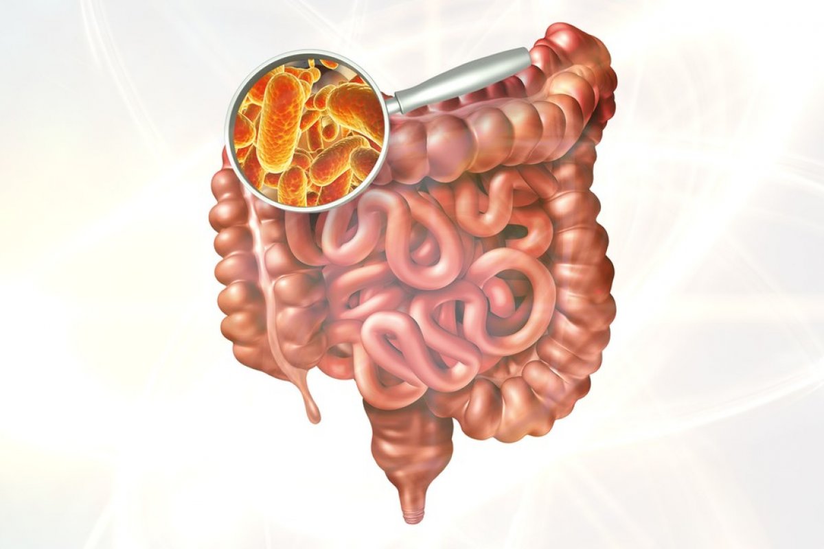 Estudo aponta que má saúde intestinal pode indicar risco de covid grave