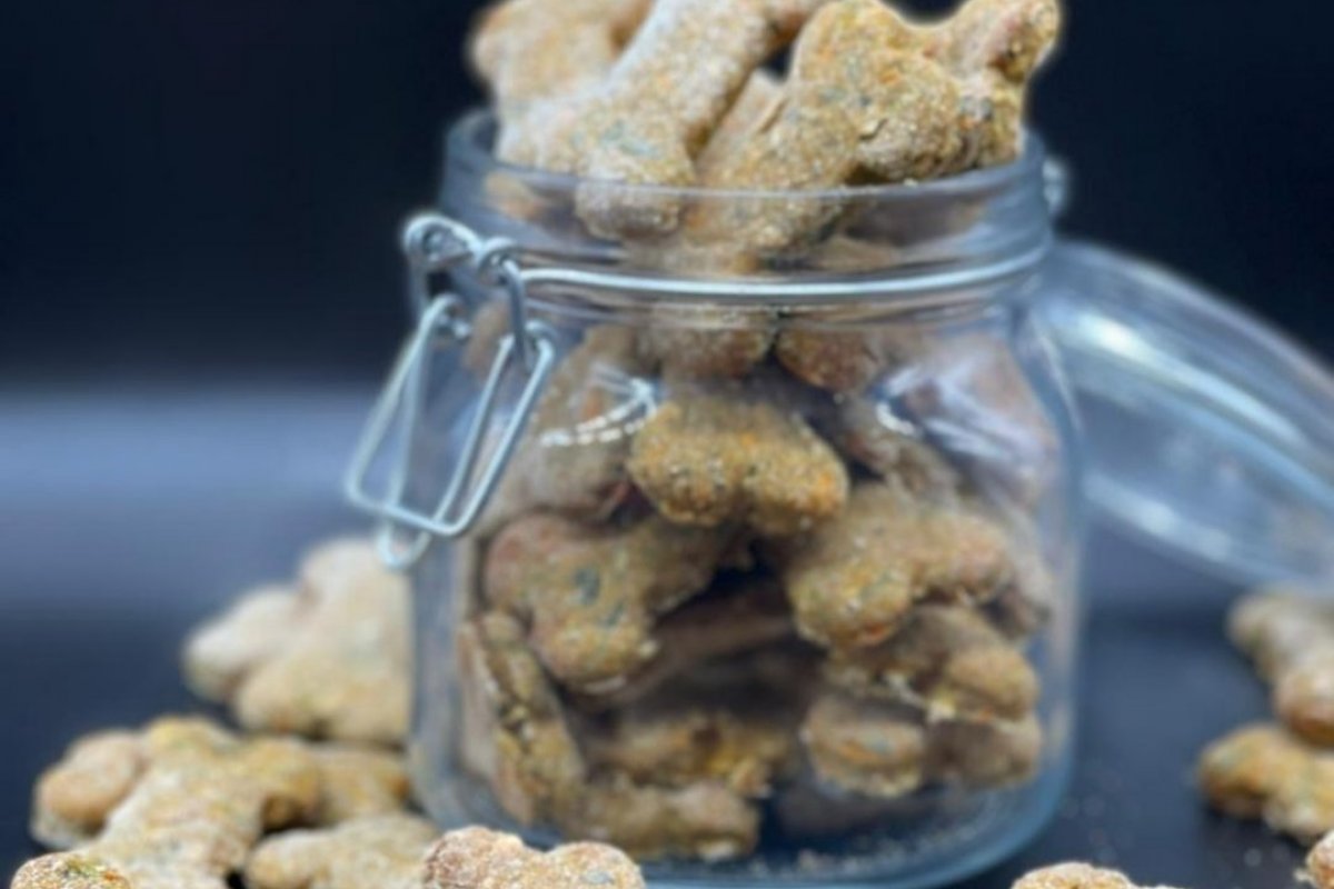 Bom pra cachorro: biscoito caseiro para pet é opção saudável para seu bichinho! 