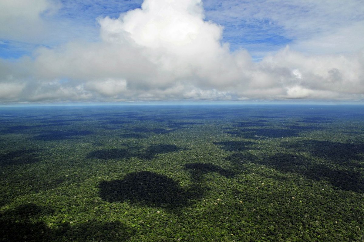 A Amazônia é nossa
