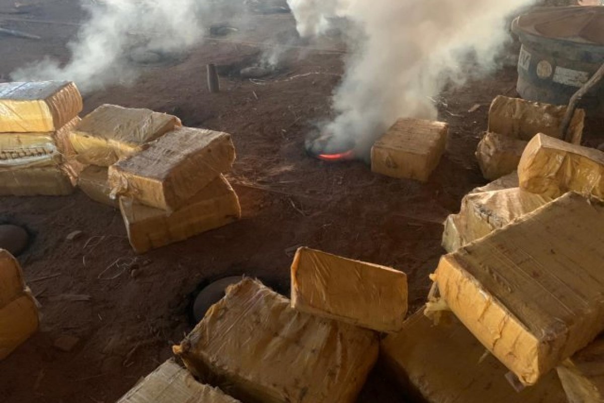 Duas toneladas de maconha são incineradas pela polícia em Feira