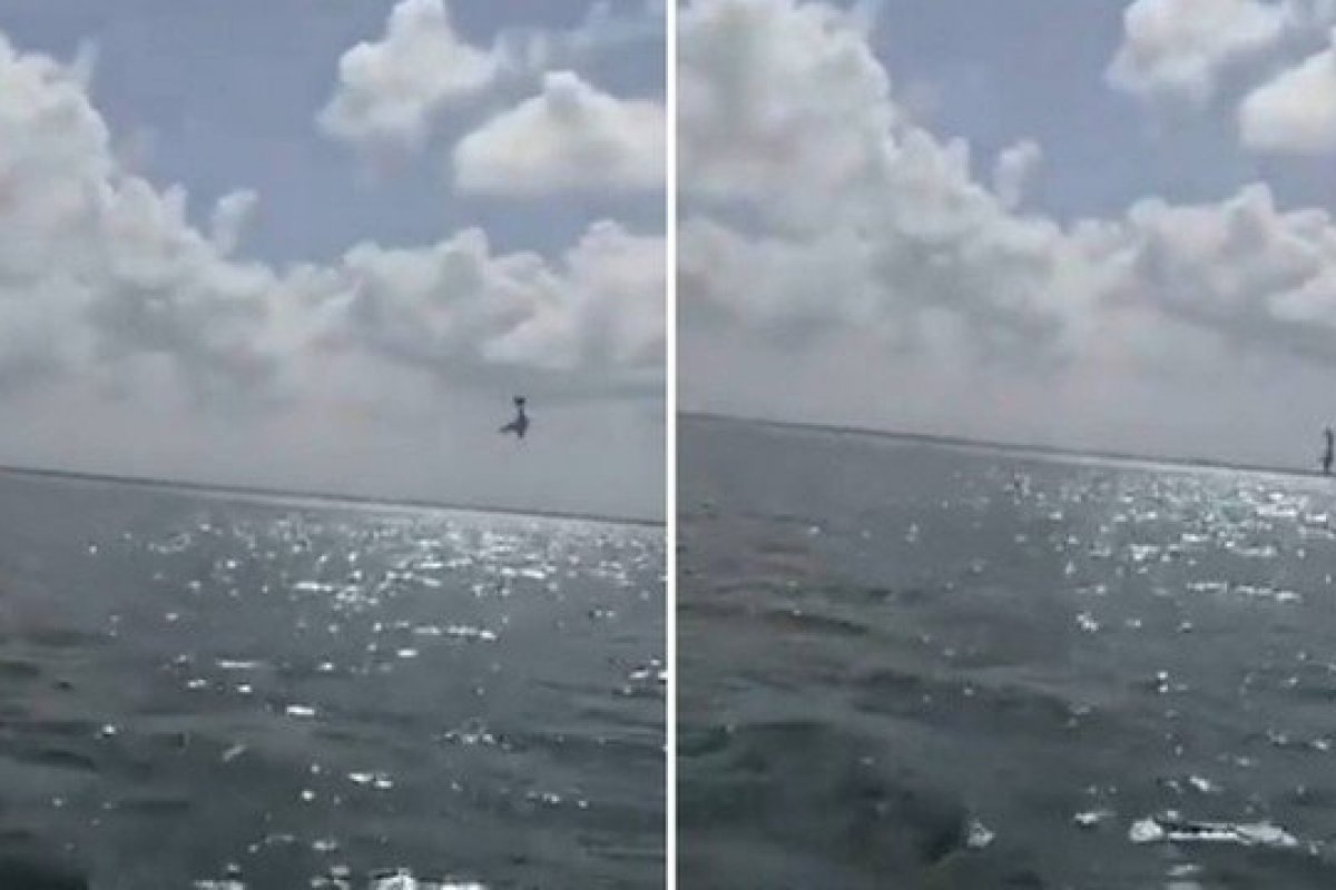 Vídeo: duas pessoas morrem após queda de avião contratado para fazer chá de revelação