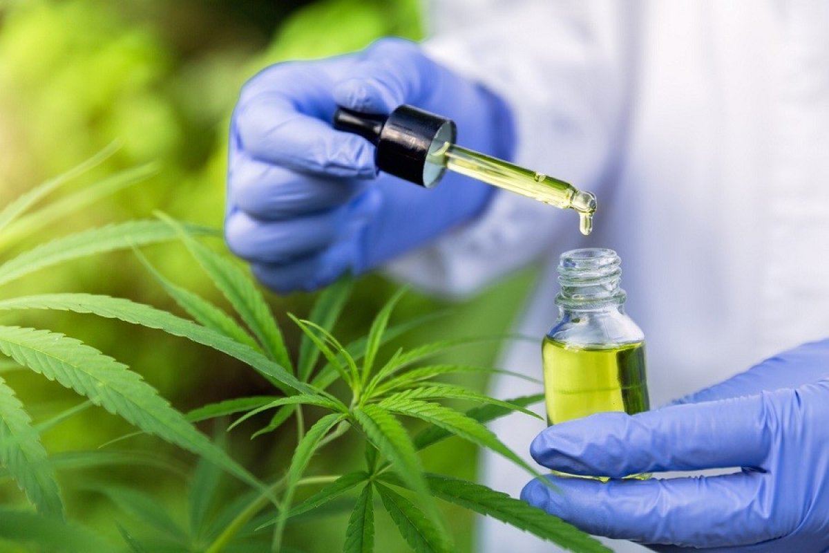 Avanço a favor da legalização da maconha impulsiona investimentos ligados ao setor