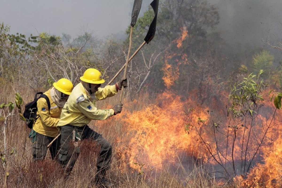 Prevenir incêndios florestais