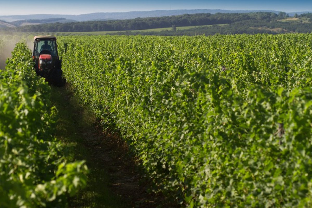 Contratação de crédito rural atinge R$ 169,44 bilhões em nove meses