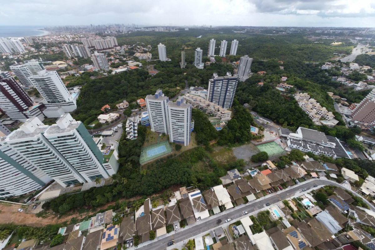 Moradores de Patamares denunciam suposta obra da prefeitura em Zona de Proteção Ambiental