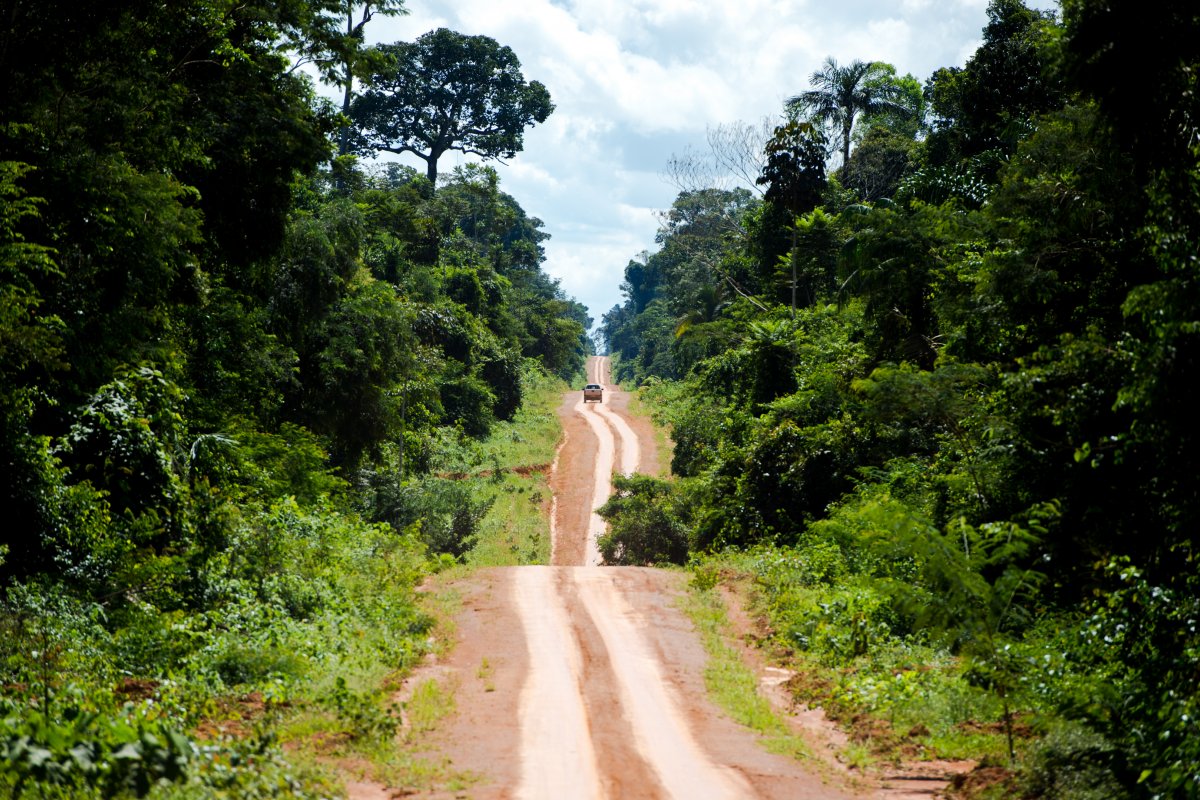 Policia do Pará identifica suspeitos de atear fogo na Amazônia