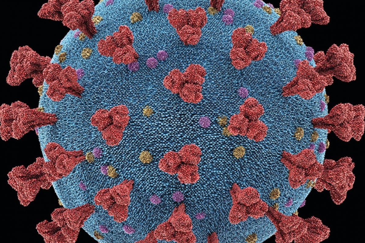 Brasil confirma mais 85 mil infectados pela covid-19 em 24h