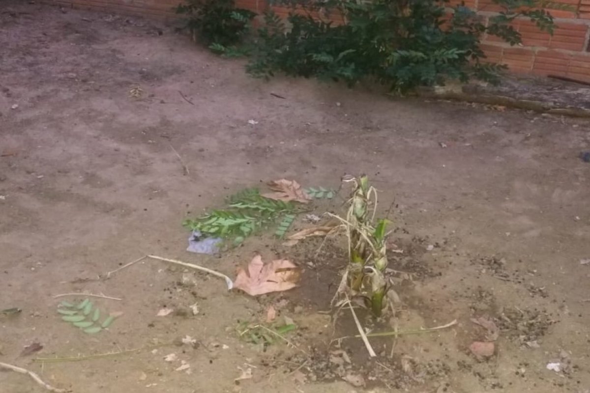 Dupla é presa suspeita de matar homem com picareta e enterrar corpo em quintal em Senhor do Bonfim