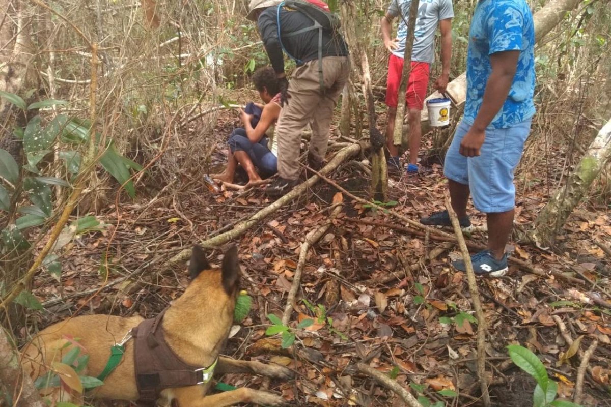 Jovem desaparecida é encontrada pela polícia dentro de um matagal, em Boipeba