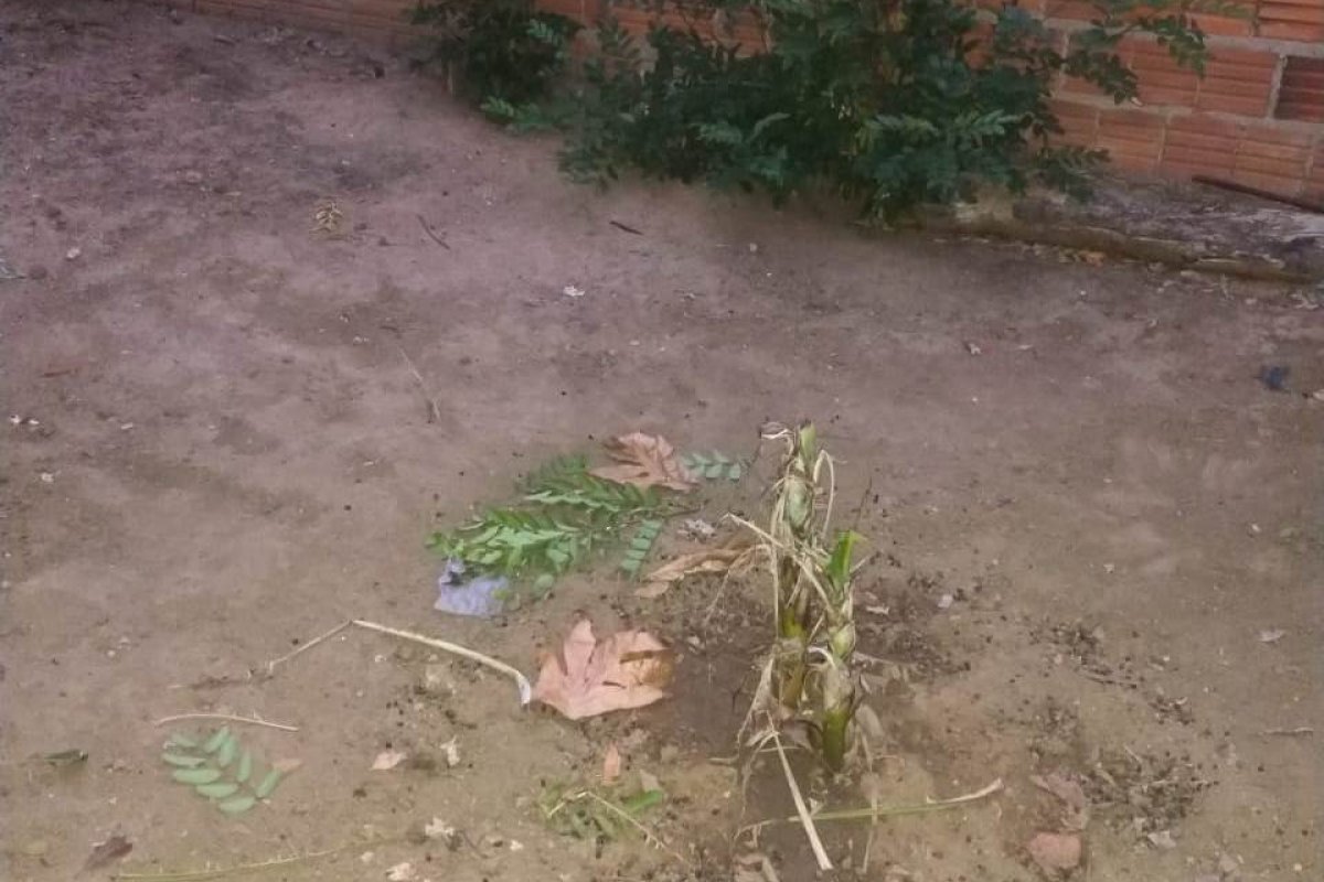 Dupla é presa por matar homem e enterrá-lo no quintal