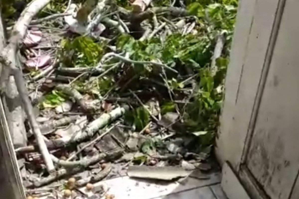 Casa fica destruída após queda de árvore em bairro de Feira de Santana