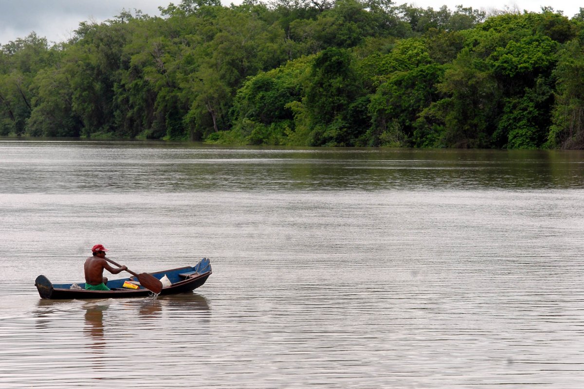 Fundo Amazônia está com quase R$ 3 bilhões parados no cofre