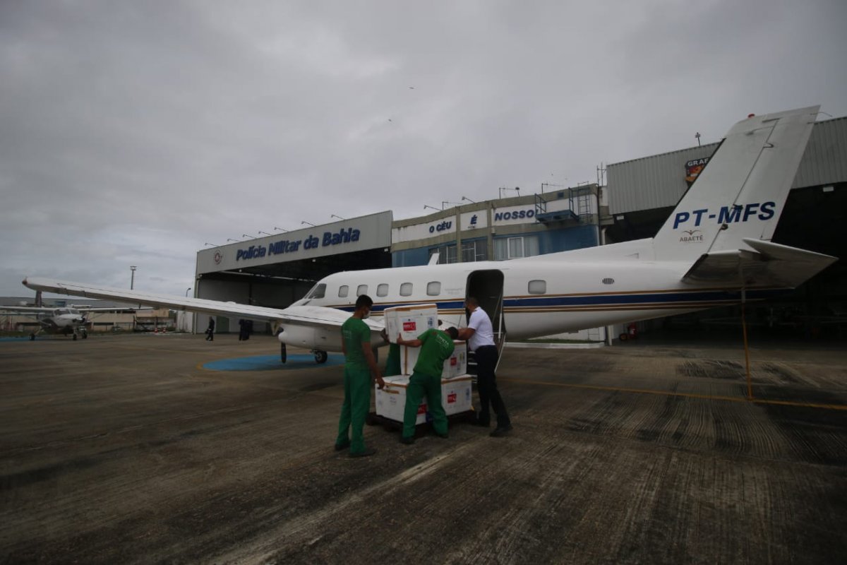 Transporte aéreo de vacinas é realizado nesta sexta-feira (23) na Bahia