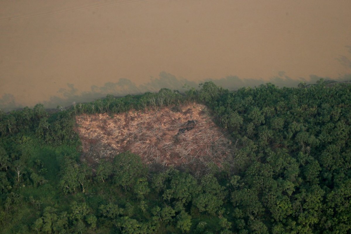 Aumento dos níveis de CO2 pode reduzir em 12% volume de vapor d’água em  9 países da Amazônia