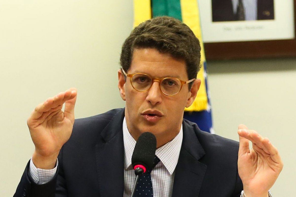 Ministro do Meio Ambiente pede a Guedes R$ 270 milhões para pasta 