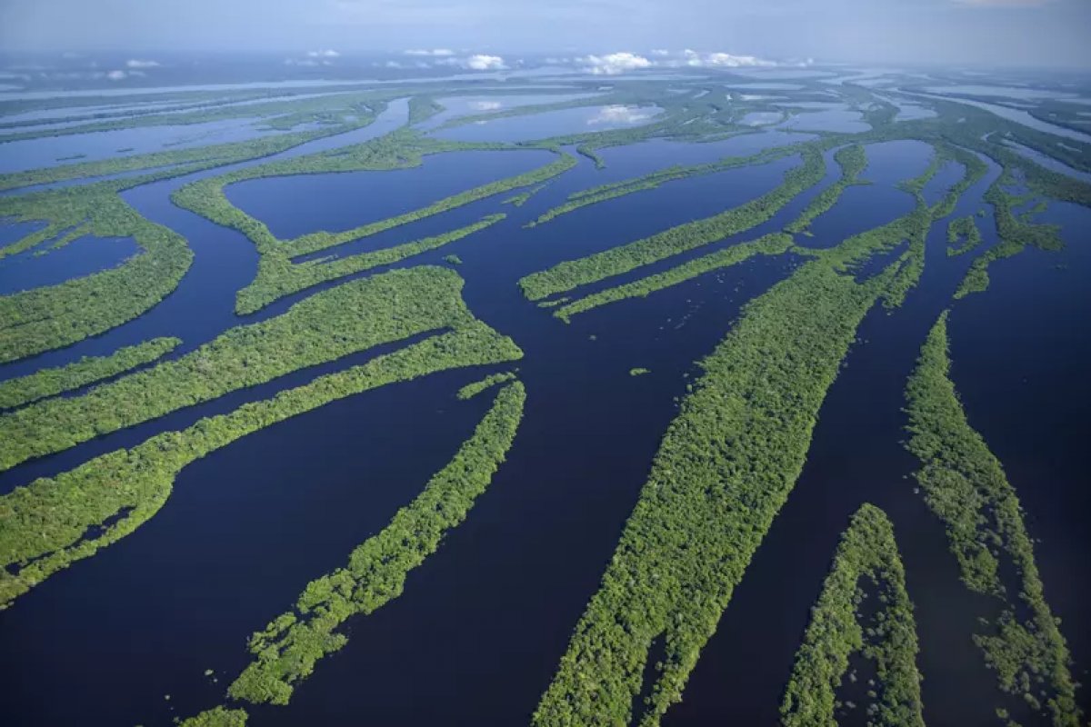 MP que libera licenciamento ambiental automático é alvo de ação no STF