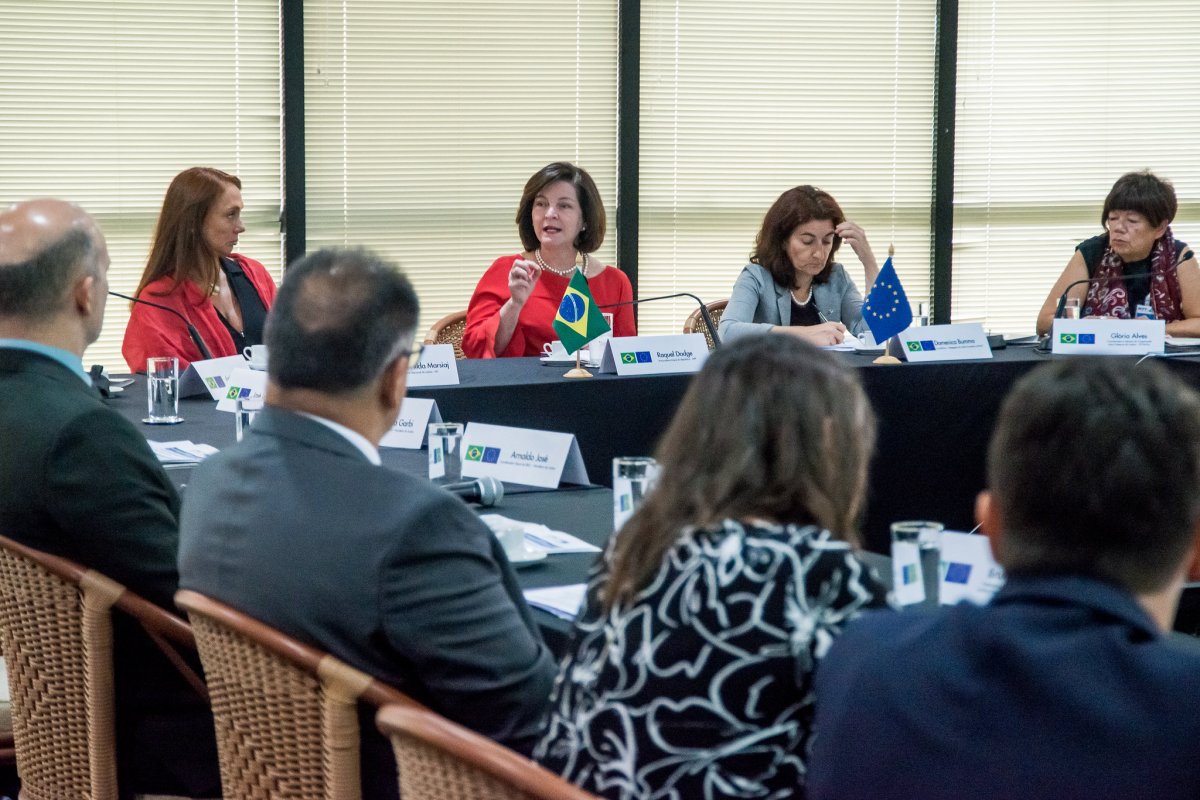 Raquel Dodge afirma que desmatamento na Amazônia é culpa de organizações criminosas