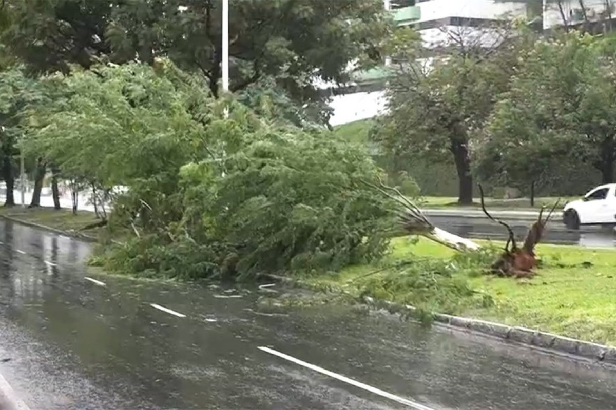 Codesal: Chuva e mau tempo causam transtornos em Salvador