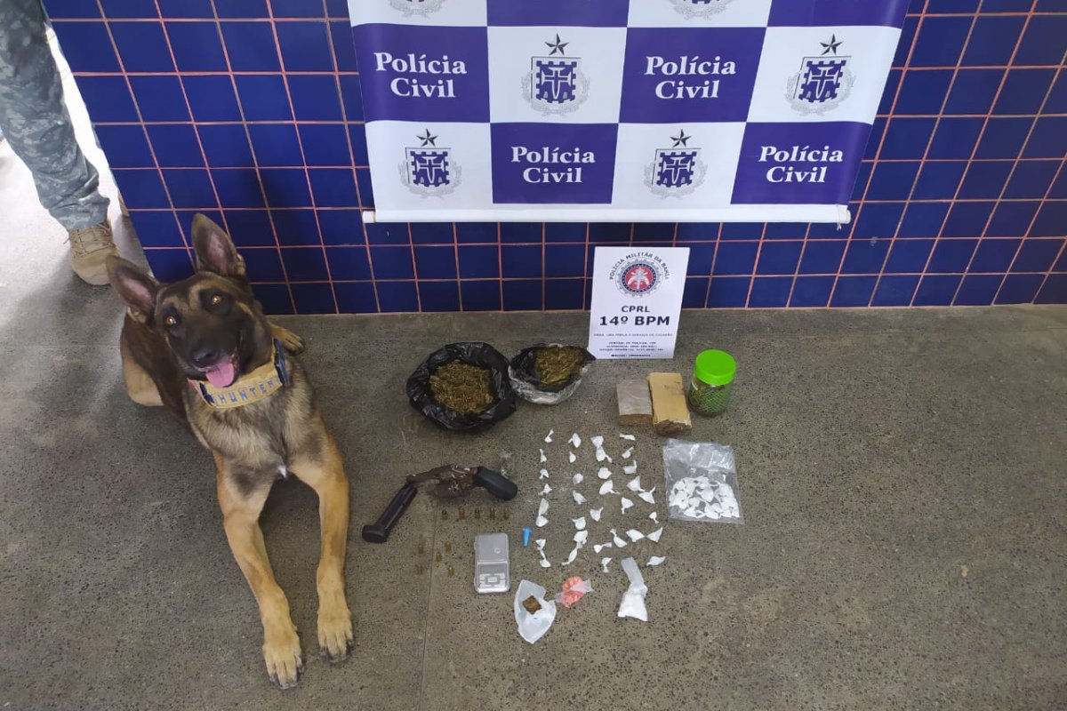 Nove suspeitos de tráfico de drogas são presos no leste da Bahia