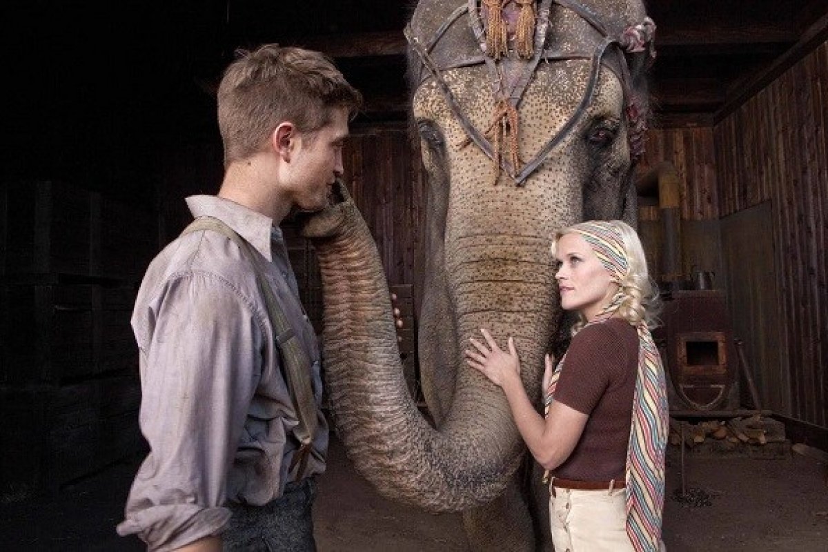 Após morte de elefante, associação pede que Hollywood pare de usar animais em filmes
