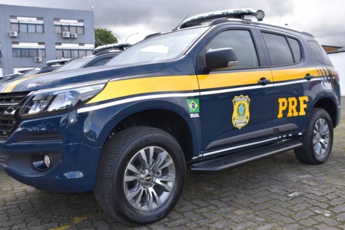 Ação flagra pássaros silvestres transportados de forma irregular na BR-242