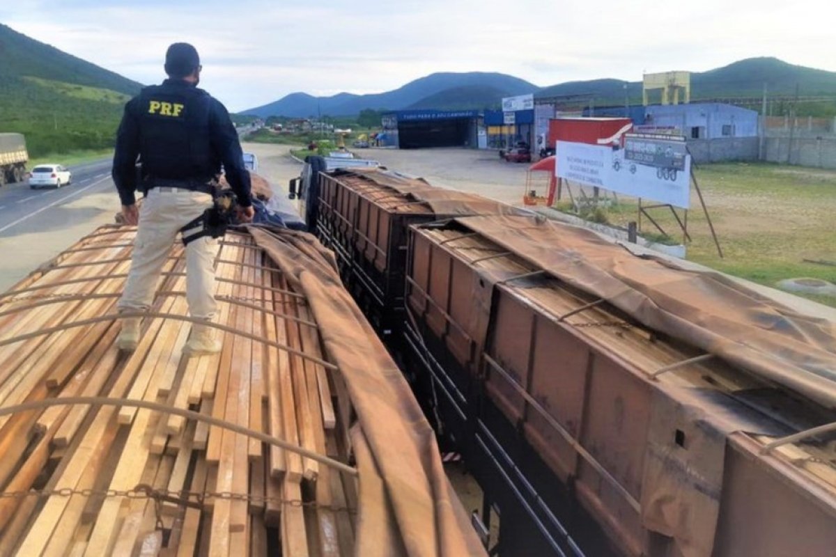 Ação policial apreende cerca de 100 toneladas de madeira de origem ilegal em Jequié 