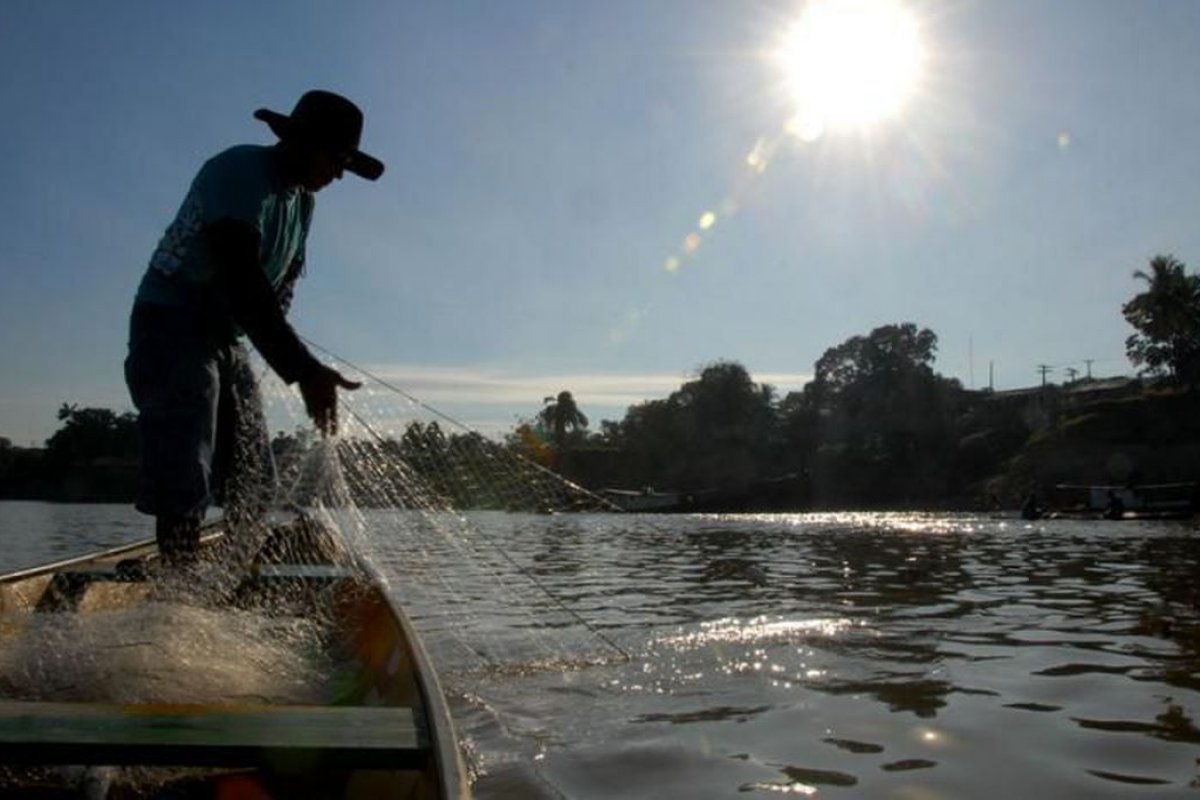 Mais de 30 mil pescadores artesanais perdem a licença por causa de irregularidades