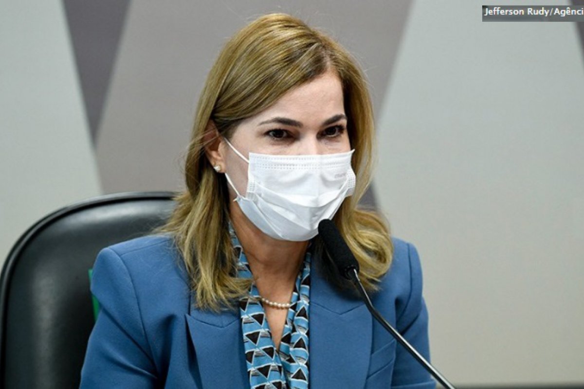 Vídeo: Na CPI da Covid, Mayra reafirma que viu pênis inflável na porta da Fiocruz