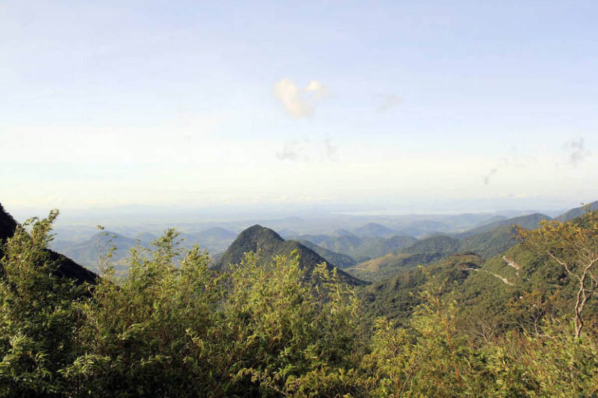Mata Atlântica perdeu 13 mil hectares de floresta nativa entre 2019 e 2020, aponta relatório