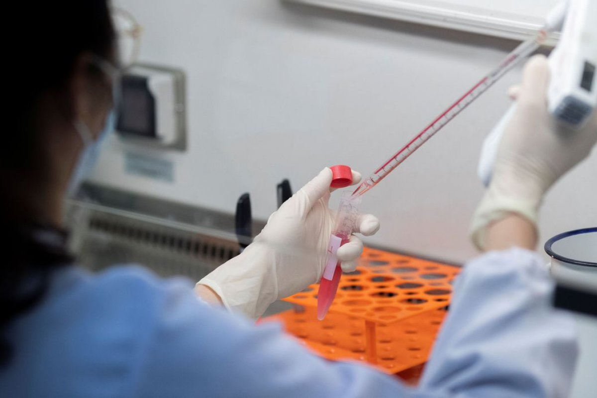 Anticorpos induzidos por casos leves da covid-19 podem durar por toda vida, diz estudo