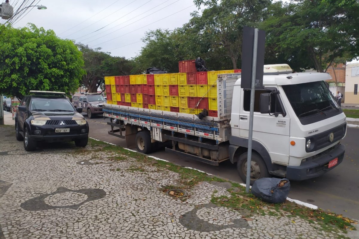 Cerca de uma tonelada de maconha foi encontrada em São Gonçalo dos Campos