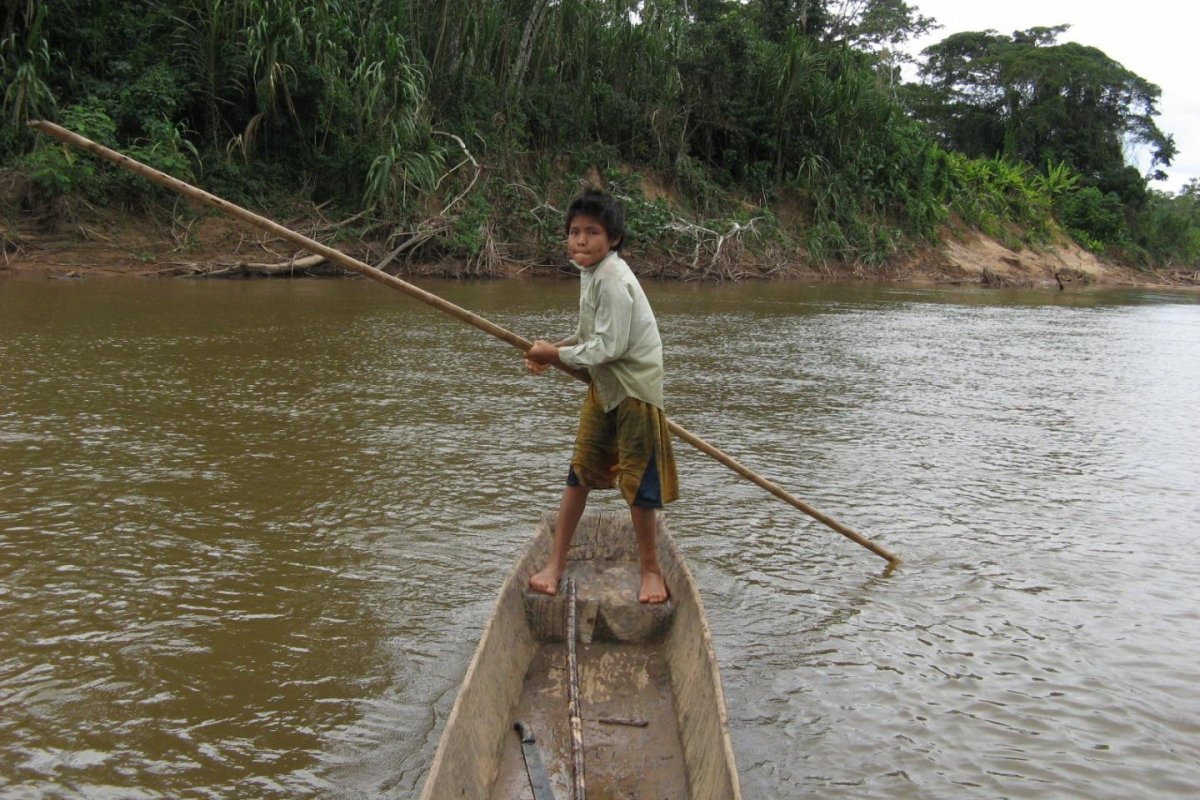 Cérebro de povo indígena da Amazônia boliviana envelhece mais devagar, diz pesquisa