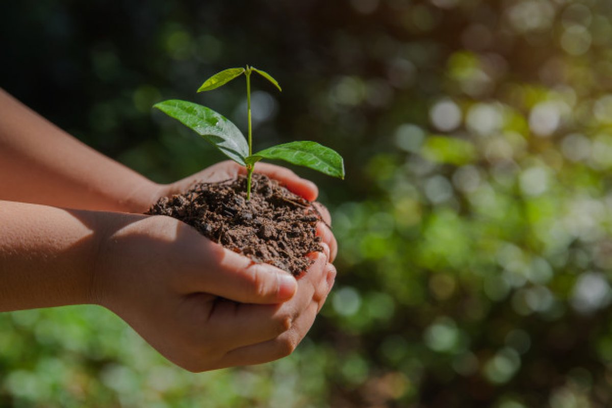 No dia Mundial do Meio Ambiente, comemorado em 5 de junho, especialista dá dicas para redução de impactos ambientais no setor da construção.