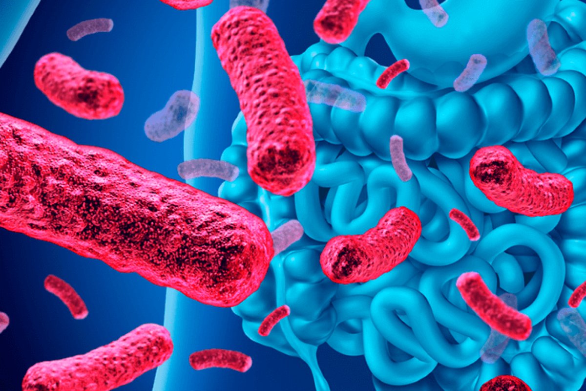 Microbiota intestinal: equilíbrio para a saúde  