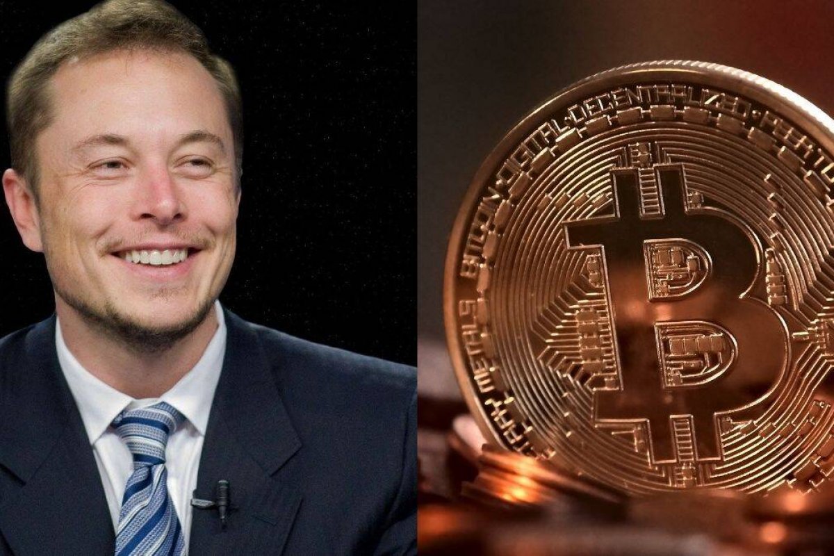 Bitcoin despenca após Elon Musk insinuar fim da relação dele com o BTC