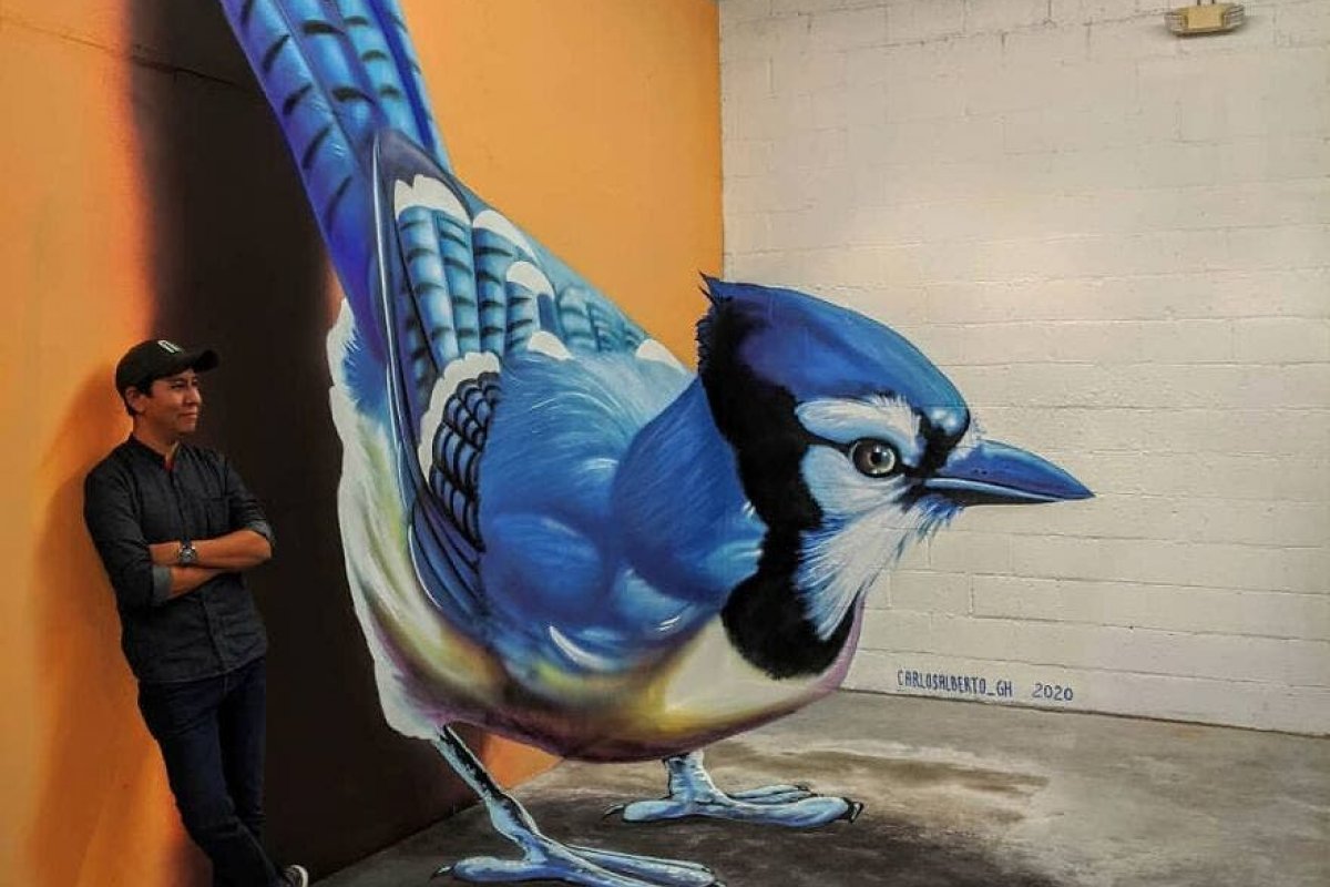 Artista mexicano cria ilusões de ótica 3D