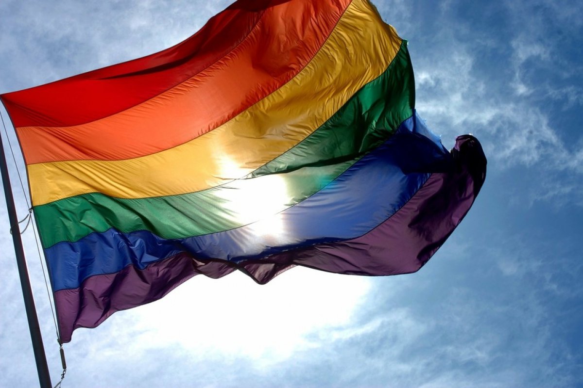25ª Parada do Orgulho LGBT+ de SP acontece neste domingo (6) pela internet 