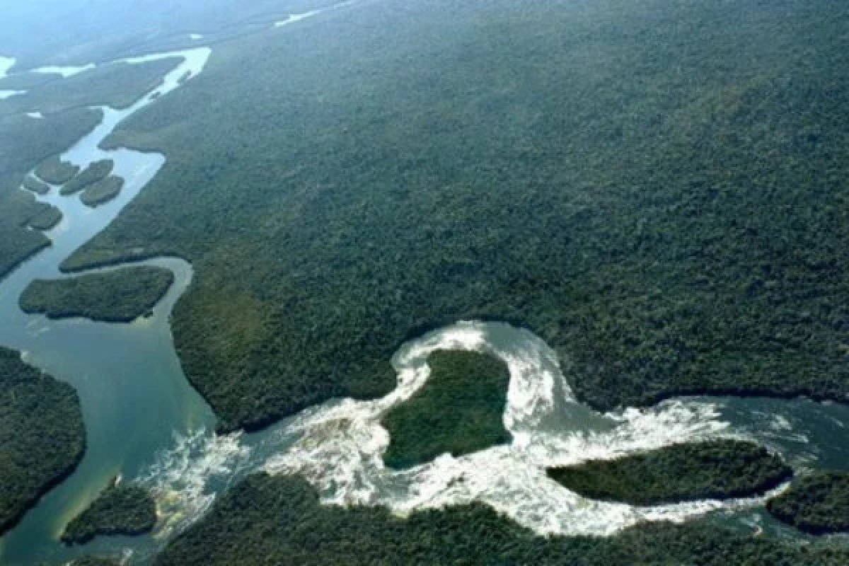 TCU aponta falhas do governo na gestão de unidades de conservação de áreas naturais